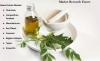 Photo for What is Neem Extract forecast (2018-2021) Considering Sales, Revenue for Regions, Types and Applications?