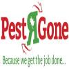 Photo for Pestrgone - Pest Control Toronto