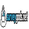 Photo for Surveygods