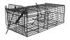 Photo for Rat Removal Services Toronto