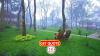Photo for Kerala Honeymoon Package