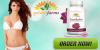 Photo for http://wellnesssupplement.com/golden-farms-forskolin/