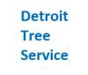 Photo for Detroit Tree Service