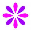 Photo for Magenta Mattresses & Pillows