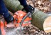 Photo for Southern Maryland Fellers Tree Service