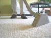 Photo for Cressman Carpet Cleaning