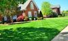 Photo for Pro Landscaping of Brookfield