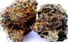 Photo for Affordable Marijuana Dispensary in Monterey