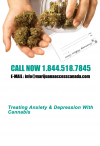 Photo for Experience Medical Marijuana Doctors in Canada