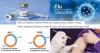 Photo for U.S. Influenza Vaccines Market - Expected to Reach US$ 8.0 Billion by 2025
