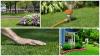 Photo for Najera Lawn Service of Dallas