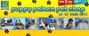 Photo for Puppy Palace Pet Shop