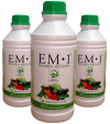Photo for Global Effective Microorganisms (EM) Market Forecast to 2023