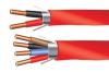 Photo for Fast-Track Your Belden Fire Alarm Cable and System Knowledge