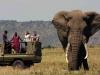 Photo for Kenya Safari Tours
