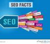 Photo for Are You Seeking SEO Services for Search Marketing