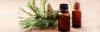 Photo for Pine Needle Oil Market Share 2018 Industry Analysis, Growth, and Forecast to 2022
