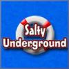 Photo for Salty Underground LLC
