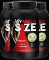 Photo for http://www.fitwaypoint.com/my-mega-size/