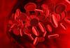 Photo for Hematology Market – Future Scope Detailed Analysis to 2025