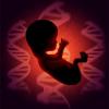 Photo for Global Prenatal  Genetic Testing Market By Latest Trend, Share, Size, Application, Growth and Forecast to 2024
