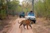 Photo for Top 10 National Parks in India for Wildlife Photography