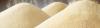 Photo for 2018 Feed Yeast Market – Regional Overview | Leading Players | Report Study & Forecast to 2023
