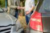 Photo for Do You Need to Report a Seemingly Minor Accident?