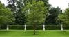 Photo for Hamilton Tree Service