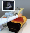 Photo for Global Test Phantoms Market Forecast to 2023
