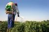Photo for Garden Sprayer Backpack Sprayer 