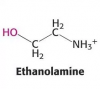 Photo for Global Ethanolamine Market 2017 Forecast to 2022