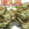 Photo for Search Marijuana Dispensaries in Rio Vista