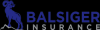 Photo for Balsiger Insurance