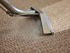 Photo for Dimsdale Carpet Cleaning