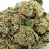 Photo for Best Quality Marijuana Dispensary in Suisun City
