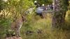 Photo for Best Jungle Safari in India