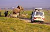 Photo for Mombasa Safari Trips