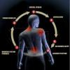 Photo for frozen shoulder doctors in delhi