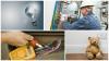 Photo for Star Lighting Electrical