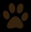 Photo for Dog Grooming Spokane