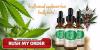 Photo for http://wellnesssupplement.com/real-cbd-oil/