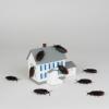Photo for First Choice Pest Control LLC