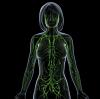 Photo for How Massage Therapy Helps The Lymphatic System
