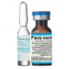 Photo for Global BCG Vaccine Market 2018 Forecast to 2023