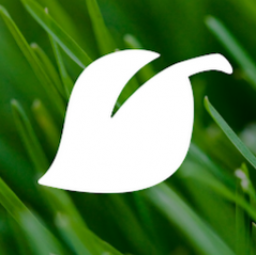 Photo for Lawn Love Lawn Care of Houston