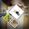 Photo for Key-Kong Locksmith