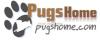 Photo for Pugs Home