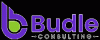 Photo for Budle Consulting