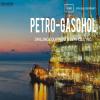 Photo for PETRO-GASOHOL DRILLING EQUIPMENT & SERVICES, INC.